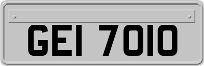 GEI7010