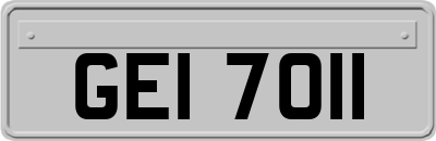 GEI7011