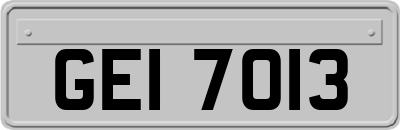 GEI7013