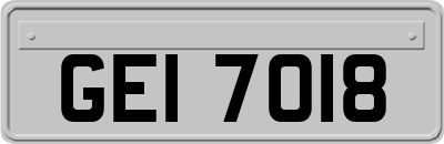GEI7018