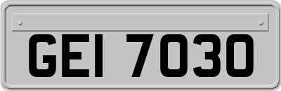 GEI7030