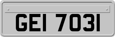 GEI7031