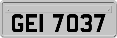 GEI7037