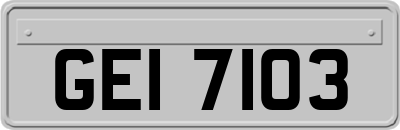 GEI7103