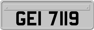 GEI7119