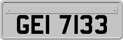 GEI7133