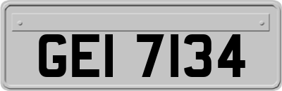 GEI7134