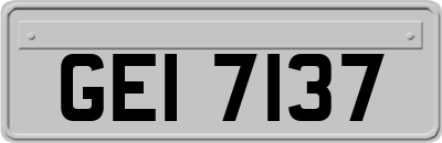 GEI7137