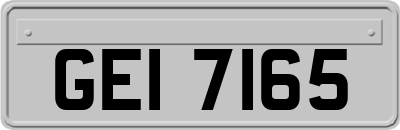 GEI7165