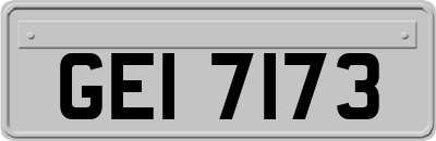 GEI7173