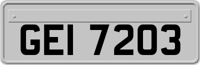 GEI7203