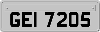 GEI7205