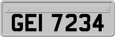 GEI7234