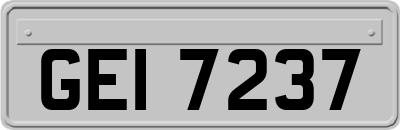 GEI7237