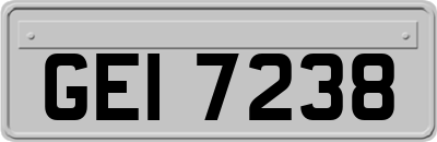 GEI7238