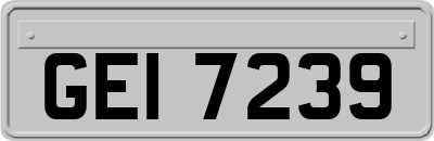 GEI7239