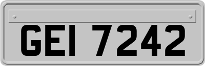 GEI7242