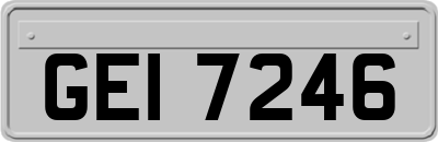 GEI7246