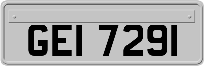 GEI7291