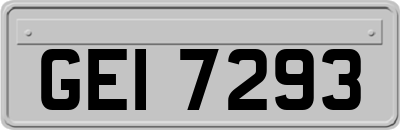 GEI7293