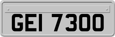 GEI7300