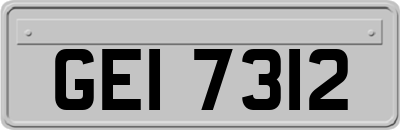 GEI7312