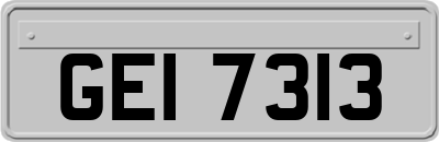 GEI7313