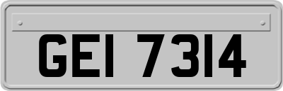 GEI7314
