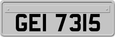 GEI7315