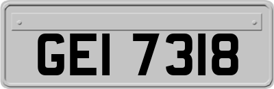 GEI7318