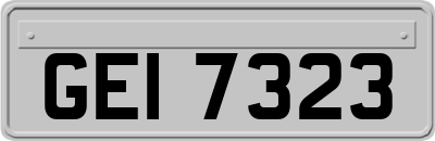 GEI7323