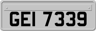 GEI7339