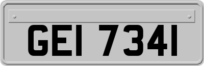 GEI7341