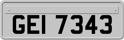GEI7343