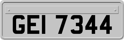 GEI7344