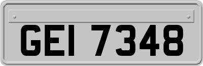 GEI7348