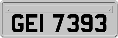 GEI7393