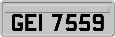 GEI7559