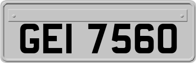 GEI7560