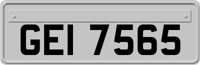 GEI7565