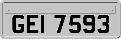GEI7593