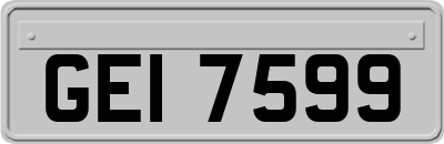 GEI7599