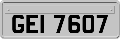 GEI7607