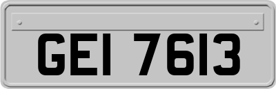 GEI7613