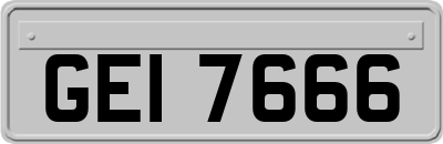 GEI7666