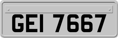GEI7667