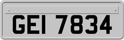 GEI7834