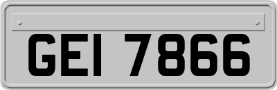 GEI7866