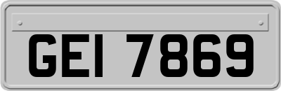 GEI7869