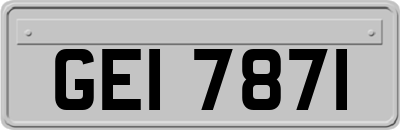 GEI7871